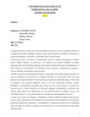 PROBLEMATICA DE LA NIÑEZ UNLU