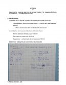 Caso empresa INDUSTRIA SAC