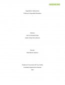 Seguridad en Aplicaciones. Políticas de Seguridad Informática