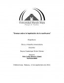 Ensayo sobre la legislación de la marihuana