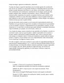 Grupos de amistad agentes de socialización