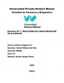 Practica N°1 : REACCIONES DE CARACTERIZACIÓN DE ALCOHOLES