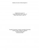 Medidas del Cambio Climático Bogotá D.C