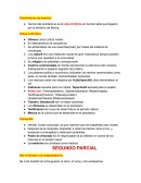 Teoría más acertada es la de Alex-Hrdlicka en donde habla que llegaron por el estrecho de Bering