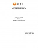 Tecnologia de la información. Robotic process automation