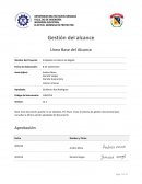 ELECTIVA: GERENCIA DE PROYECTOS