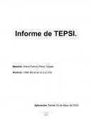 Informe de TEPSI