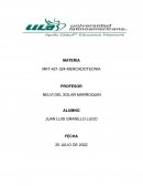 Entregable final mercadotecnia