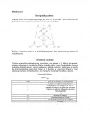 Planeación de la producción
