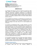 Ensayo de los Ambientes VUCA