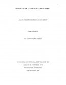 VISITA TÉCNICA PLANTA DE AGREGADOS GUAYURIBA