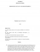 Práctica 5. Morfología Celular y capacidad metabolica