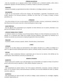 RESUMEN DE LENGUA Y LITERATURA