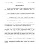 ¿Que es la cultura?