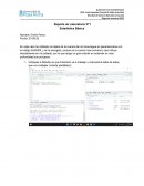 Reporte de Laboratorio N°1 Estadística Básica