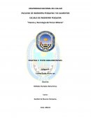 TEXTO ARGUMENTATIVO: INTELIGENCIA EMOCIONAL