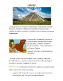 Los mayas. Organización Social