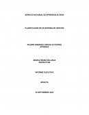 PLANIFICACION DE UN SISTEMA DE GESTION