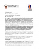 Reseña video de el valor de la vida