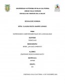 EXPRESIONES COMPORTAMENTALES DE LA SEXUALIDAD. BDSM