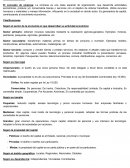 Resumen de organización industrial