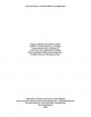 SITUACIÓN DE LAS MIPYMES COLOMBIANAS