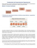 Fundamentos del Comportamiento Organizacional