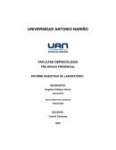 INFORME MUESTRAS DE LABORATORIO