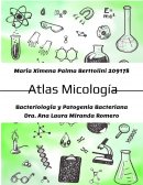 Atlas micologia