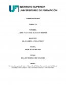 IDEA DE MODELO DE NEGOCIO