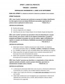 SPRINT 1. BRIEF DEL PROYECTO TIMEBOX