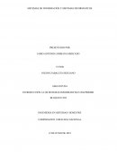 SISTEMAS DE INFORMACIÓN Y SISTEMAS INFORMÁTICOS