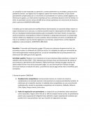 Informe Financiero Masisa