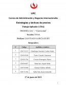 PROMHIL SAC – “Electricidad”