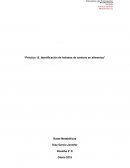 Práctica 15. Identificación de hidratos de carbono en alimentos