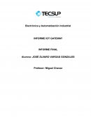 Electrónica y Automatización Industrial