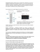 Partes de un tornillo