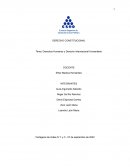 Derechos humanos y derecho internacional humanitario