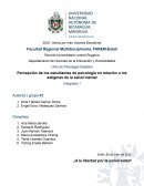 Ensayo Sobre Estigma de la Salud Mental