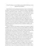 ¿Por qué los humanos ven a los no humanos como un método de beneficencia sin ver el sufrimiento de los no humanos?
