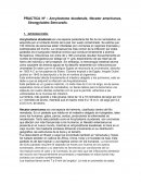 PRACTICA Nº : Ancylostoma duodenale, Necator americanus, Strongyloides Stercoralis