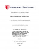 BASES BIOLOGICAS DEL COMPORTAMIENTO ANAMNESIS NEUROPSICOLOGICA