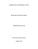 BÚSQUEDA DE ARTÍCULO BONO