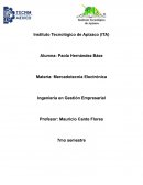 Mercadotecnia Electrónica