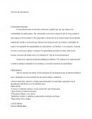 ARTICULACION PRIMARIA E INICIAL