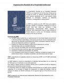 Organización Mundial de la Propiedad Intelectual