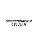 Diferenciación Celular