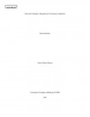 Dirección Estratégica: Búsqueda de la Excelencia Competitiva