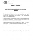 VARIABLES OPERACIONALES MEDIANTE EL MODELO GEO MINERO