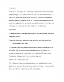 Ensayo contabilidad, activos fijos de la empresa